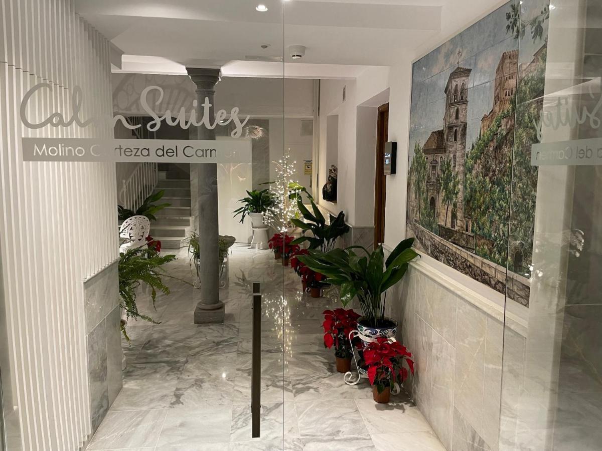 Calm Suites Molino Corteza Del Carmen Γρανάδα Εξωτερικό φωτογραφία